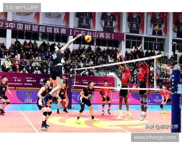 北京排球队荣登排球耐力排行榜首位展现卓越竞技实力